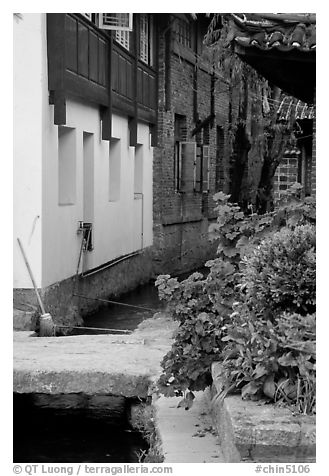 Flowers, canal, and houses. Lijiang, Yunnan, China (black and white)