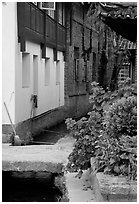 Flowers, canal, and houses. Lijiang, Yunnan, China ( black and white)