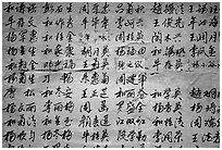 Chinese caligraphy. Lijiang, Yunnan, China ( black and white)
