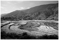 Fields on the road between Lijiang and Panzhihua. (black and white)