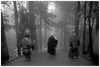 Pilgrims descend a staircase in the fog beneath Wannian Si. Emei Shan, Sichuan, China (black and white)