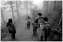 Weathy pilgrim carried on a chair. Emei Shan, Sichuan, China ( black and white)