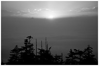 Sunset over a sea of clouds. Emei Shan, Sichuan, China (black and white)