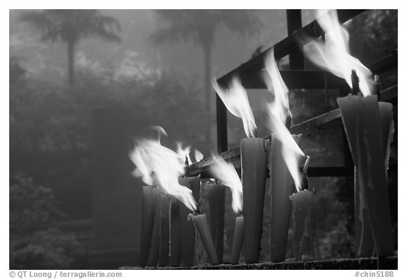 Candles burning with foggy trees in the background, Wannian Si. Emei Shan, Sichuan, China