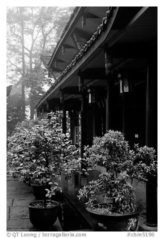 Wannian Si temple in the fog. Emei Shan, Sichuan, China (black and white)