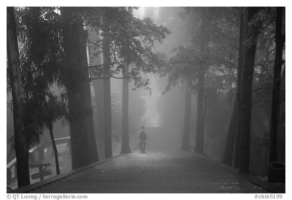 Stairway leading to Wannian Si temple in the fog. Emei Shan, Sichuan, China (black and white)