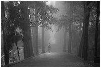 Stairway leading to Wannian Si temple in the fog. Emei Shan, Sichuan, China (black and white)