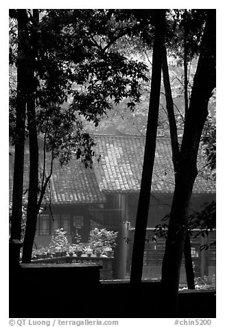 Bailongdong temple seen through trees. Emei Shan, Sichuan, China (black and white)