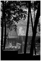 Bailongdong temple seen through trees. Emei Shan, Sichuan, China ( black and white)