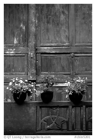 Potted flowers and wooden wall in Bailongdong temple. Emei Shan, Sichuan, China (black and white)