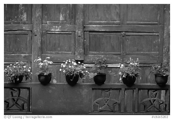 Potted flowers and wooden wall in Bailongdong temple. Emei Shan, Sichuan, China