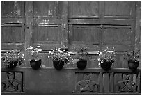 Potted flowers and wooden wall in Bailongdong temple. Emei Shan, Sichuan, China (black and white)