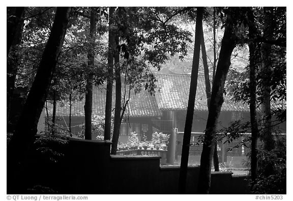 Bailongdong temple seen through trees. Emei Shan, Sichuan, China (black and white)