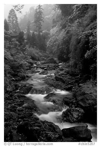 Stream between Qingyin and Hongchunping. Emei Shan, Sichuan, China (black and white)