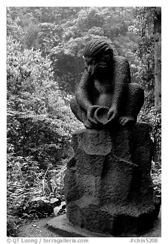 Monkey statue between Qingyin and Hongchunping. Emei Shan, Sichuan, China (black and white)