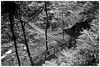 Suspension bridge between Qingyin and Hongchunping. Emei Shan, Sichuan, China (black and white)