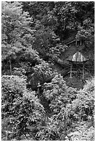 Path and pavillon on steep hillside between Qingyin and Hongchunping. Emei Shan, Sichuan, China (black and white)