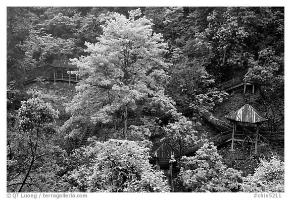 Path and pavillon on steep hillside between Qingyin and Hongchunping. Emei Shan, Sichuan, China