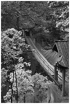 Suspension bridge between Qingyin and Hongchunping. Emei Shan, Sichuan, China (black and white)