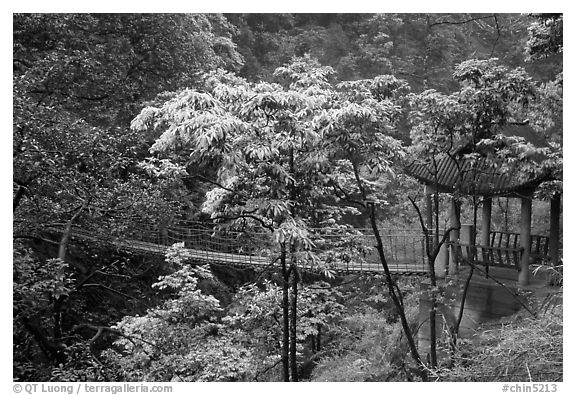 Suspension bridge between Qingyin and Hongchunping. Emei Shan, Sichuan, China