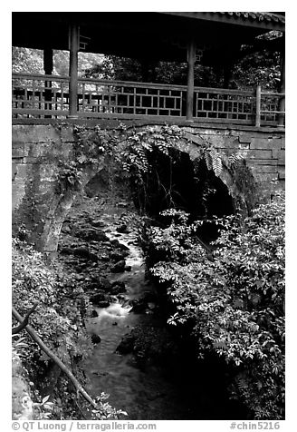 Covered bridge between Qingyin and Hongchunping. Emei Shan, Sichuan, China (black and white)