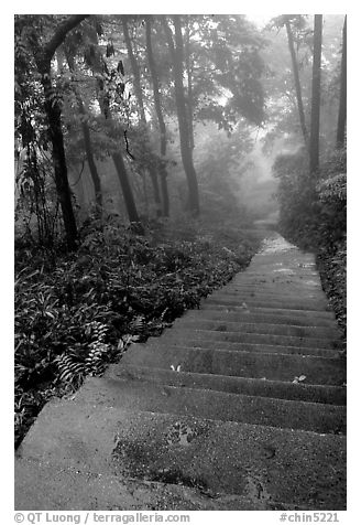 The staircase above Hongchunping. Emei Shan, Sichuan, China (black and white)