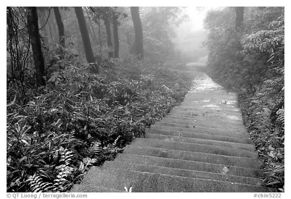 The staircase above Hongchunping. Emei Shan, Sichuan, China