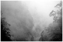 Cliffs and trees in mist between Hongchunping and Xiangfeng. Emei Shan, Sichuan, China (black and white)