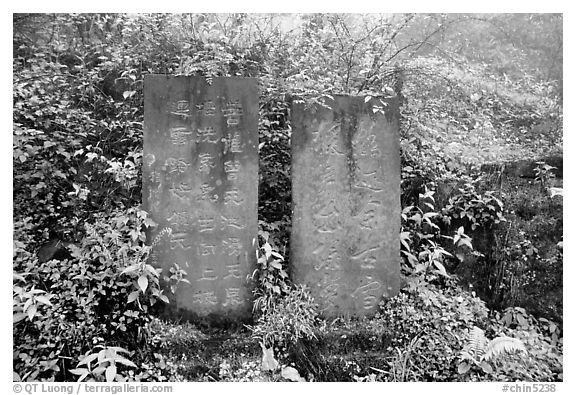 Stone tablets with Chinese scripture. Emei Shan, Sichuan, China (black and white)