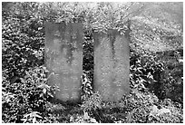 Stone tablets with Chinese scripture. Emei Shan, Sichuan, China (black and white)