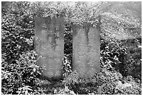Stone tablets with Chinese scripture. Emei Shan, Sichuan, China ( black and white)