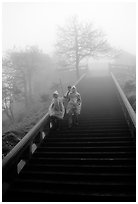 Pilgrims descend stairs beneah Xixiangchi temple in raingear. Emei Shan, Sichuan, China (black and white)