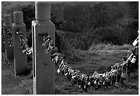 Chain locks added by pilgrims. Emei Shan, Sichuan, China (black and white)