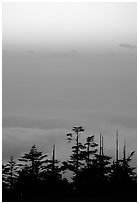 Sunset on a sea of clouds. Emei Shan, Sichuan, China ( black and white)