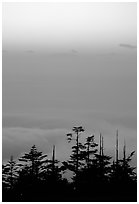 Sunset on a sea of clouds. Emei Shan, Sichuan, China (black and white)