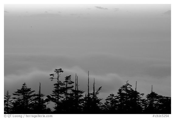 Sunset on a sea of clouds. Emei Shan, Sichuan, China