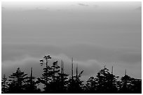 Sunset on a sea of clouds. Emei Shan, Sichuan, China ( black and white)