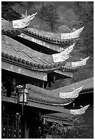 Roof detail of Jieyin Palace. Emei Shan, Sichuan, China ( black and white)