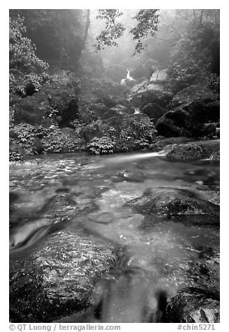 Stream between Qingyin and Hongchunping. Emei Shan, Sichuan, China (black and white)