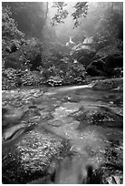 Stream between Qingyin and Hongchunping. Emei Shan, Sichuan, China ( black and white)