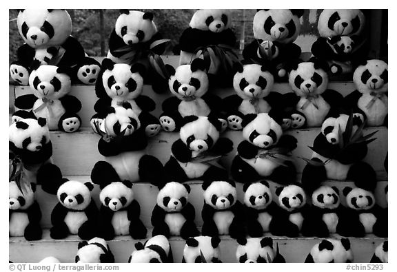 Stuffed pandas for sale. Chengdu, Sichuan, China