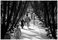 Walking to work and for exercie in a tree-lined alley of Liuha Park. Guangzhou, Guangdong, China (black and white)
