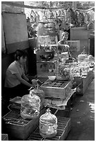 Bird Market. Guangzhou, Guangdong, China (black and white)