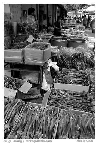 Strange animal parts for sale at the Qingping market. Guangzhou, Guangdong, China