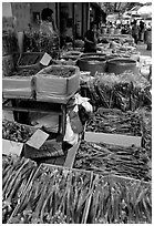 Strange animal parts for sale at the Qingping market. Guangzhou, Guangdong, China (black and white)