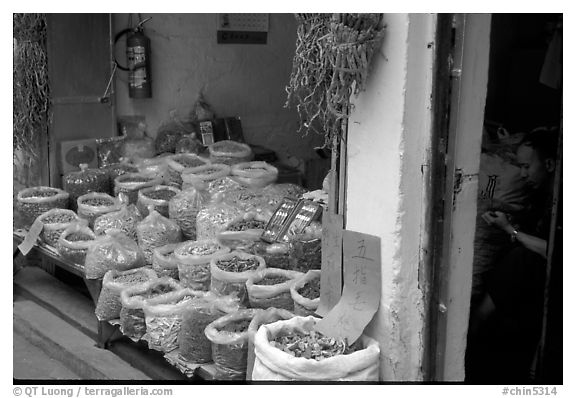 Herbs and fungus for sale in the extended Qingping market. Guangzhou, Guangdong, China