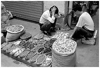 Playing Chinese chess while waiting for clients. Guangzhou, Guangdong, China ( black and white)