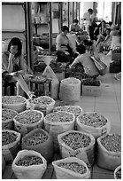 Woman selling dried food items inside the Qingping market. Guangzhou, Guangdong, China (black and white)