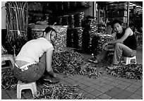 Sorting out dried sea horses. Guangzhou, Guangdong, China ( black and white)