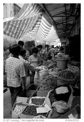 Dried food items for sale in the extended Qingping market. Guangzhou, Guangdong, China